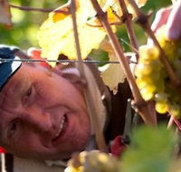 Puddleduck Vineyard - ACT Tourism