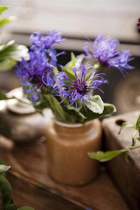 Salamanca Market - ACT Tourism 1