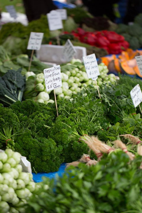 Salamanca Market - ACT Tourism 5