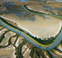 The Wilderness Gallery - ACT Tourism