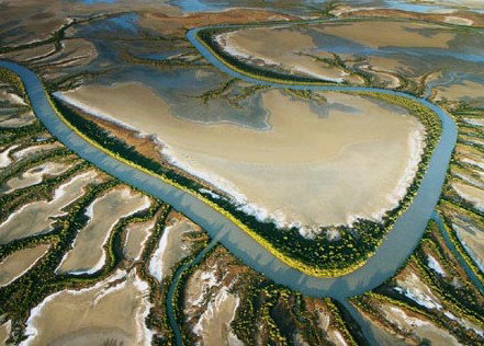 The Wilderness Gallery - ACT Tourism 0