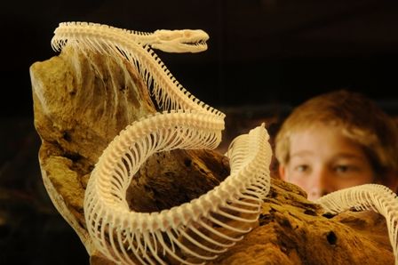 Araluen Cultural Precinct - ACT Tourism 4