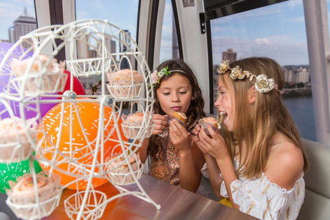 The Wheel Of Brisbane - ACT Tourism 2