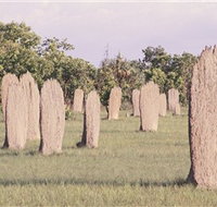 Magnetic Termite Mounds - ACT Tourism