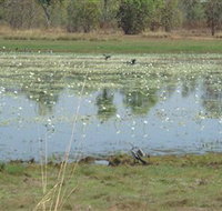 Leaning Tree Lagoon Nature Park - ACT Tourism