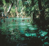 Mataranka Thermal Pool - ACT Tourism