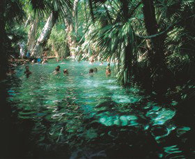 Mataranka Thermal Pool - ACT Tourism 0