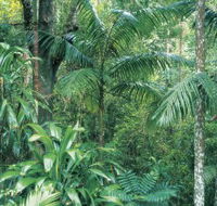 Westside Track Maiala - ACT Tourism