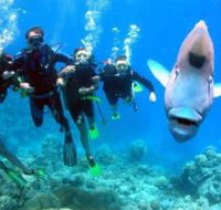 The Aarhus Dive Site - ACT Tourism