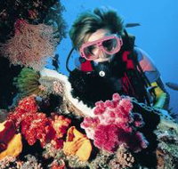 Nine Mile Reef Dive Site - ACT Tourism