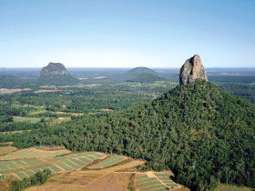 Mt Tibrogargan - ACT Tourism 0