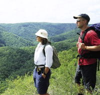 Sunshine Coast Hinterland Great Walk - ACT Tourism