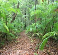 Delicia Road Conservation Park - ACT Tourism