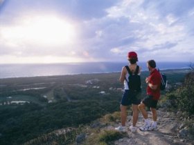 Mount Coolum National Park - ACT Tourism 0