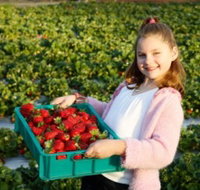 Strawberry Fields - ACT Tourism