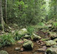 Amamoor State Forest - ACT Tourism