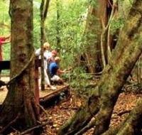Mary Cairncross Scenic Reserve - ACT Tourism