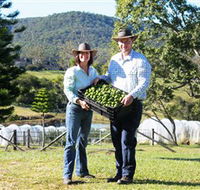 Hinterland Feijoas - ACT Tourism