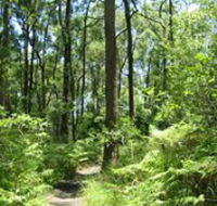 Mapleton Falls National Park - ACT Tourism