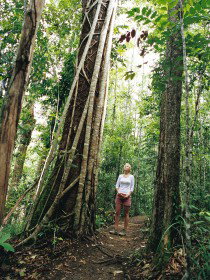 Wet Tropics - ACT Tourism 0