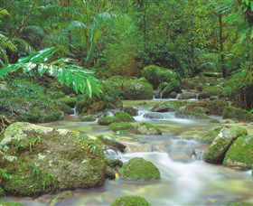 Mossman Gorge, Daintree National Park - ACT Tourism 0