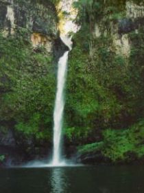 Nandroya Falls Circuit Track, Wooroonooran National Park - ACT Tourism 0