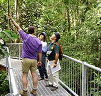 Daintree Discovery Centre - ACT Tourism