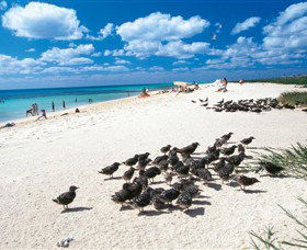 Michaelmas And Upolo Cays National Park - ACT Tourism 0