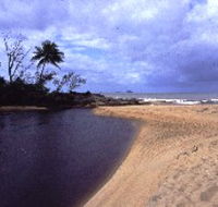 Russell River National Park - ACT Tourism