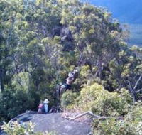 Mia Mia State Forest - ACT Tourism