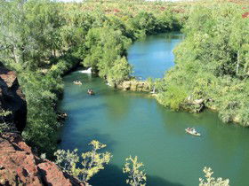 Wild Dog Dreaming, Boodjamulla (Lawn Hill) National Park - ACT Tourism 0