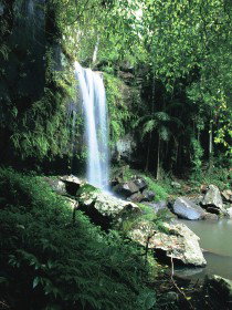 Curtis Falls, Joalah Section - ACT Tourism 0