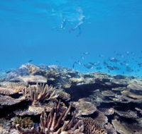 Australian Institute of Marine Science - ACT Tourism