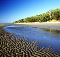 Burrum Coast National Park - ACT Tourism