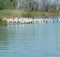 Lake Ross - ACT Tourism