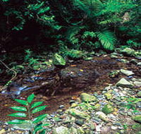 Wompoo Walk - ACT Tourism