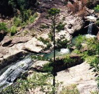 Banksia Track and the Boardwalk - ACT Tourism