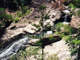 Banksia Track And The Boardwalk - ACT Tourism 0
