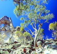 Mount Moffatt Section - Carnarvon National Park - ACT Tourism