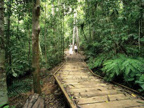 Peeramon QLD ACT Tourism