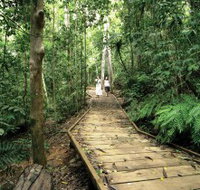 Lake Barrine Circuit Track Crater Lakes National Park - ACT Tourism