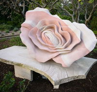 Brisbane Botanic Gardens Mount Coot-tha - ACT Tourism