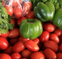 Burleigh Heads Markets - ACT Tourism