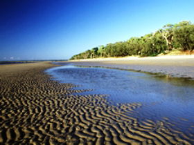 Kinkuna Section - ACT Tourism 0