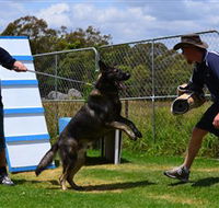 Lawdogs Australia - ACT Tourism