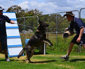 Lawdogs Australia - ACT Tourism 0