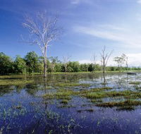 Tyto Wetlands - ACT Tourism