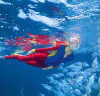 Outer Rocks Dive Site - ACT Tourism