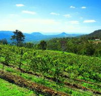 Preston Peak Wines - ACT Tourism