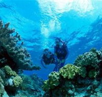 Coral Gardens Dive Site - ACT Tourism